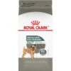 Royal Canin Canine Care Nutrition Small Dental Care Dry Dog Food -Blue Buffalo || ROYAL CANIN || Wellness Sales 191999 MAIN. AC SS1800 V1696254878
