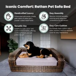 Iconic Pet Rattan Sofa Cat & Dog Bed With Removable Cover, Caramel & Mocha -Blue Buffalo || ROYAL CANIN || Wellness Sales 192466 PT4. AC SS1800 V1568755958