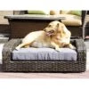 Iconic Pet Rattan Sofa Cat & Dog Bed With Removable Cover, Caramel & Mocha 2 Iconic Pet Rattan Sofa Cat & Dog Bed With Removable Cover, Caramel & Mocha -Blue Buffalo || ROYAL CANIN || Wellness Sales 192466 main. AC SS1800 V1581434935