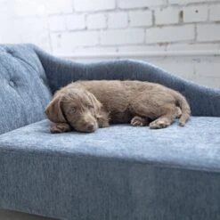 La-Z-Boy Chaise Furniture Sofa Dog Bed 11 La-Z-Boy Chaise Furniture Sofa Dog Bed -Blue Buffalo || ROYAL CANIN || Wellness Sales 192829 PT4. AC SS1800 V1597880835