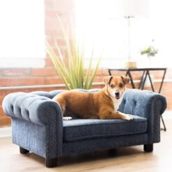 La-Z-Boy Furniture Sofa Dog Bed -Blue Buffalo || ROYAL CANIN || Wellness Sales 192832 PT6. AC SS1800 V1605319320
