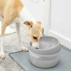 Frisco Round Dog & Cat Fountain -Blue Buffalo || ROYAL CANIN || Wellness Sales 193235 PT3. AC SS1800 V1604007140