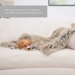 Best Friends By Sheri Throw Shag Dog & Cat Blanket -Blue Buffalo || ROYAL CANIN || Wellness Sales 193307 PT4. AC SS1800 V1697753706