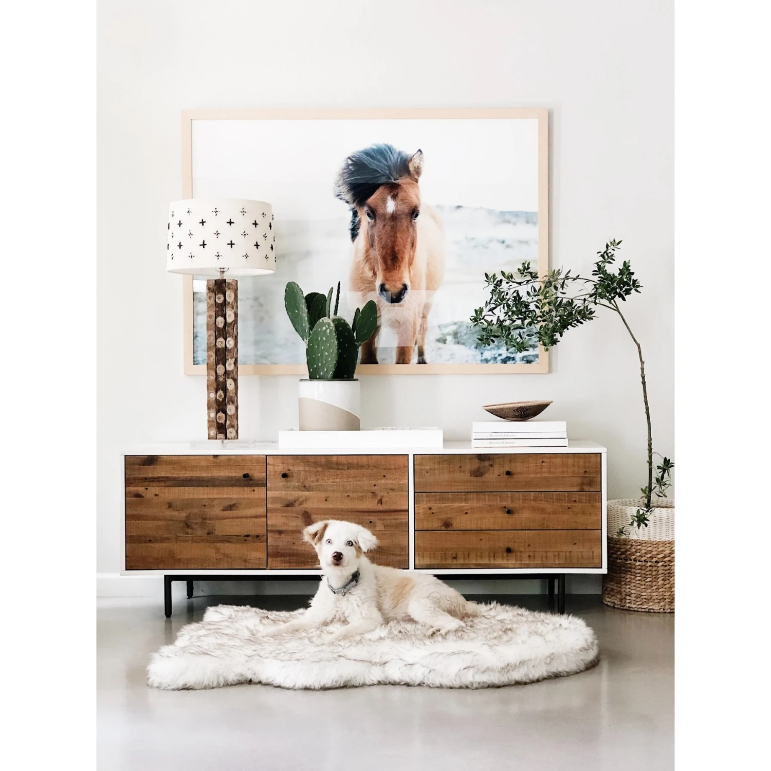 PawBrands PupRug Faux Fur Curve Orthopedic Pillow Dog Bed With Removable Cover, White 8 PawBrands PupRug Faux Fur Curve Orthopedic Pillow Dog Bed With Removable Cover, White - Image 6