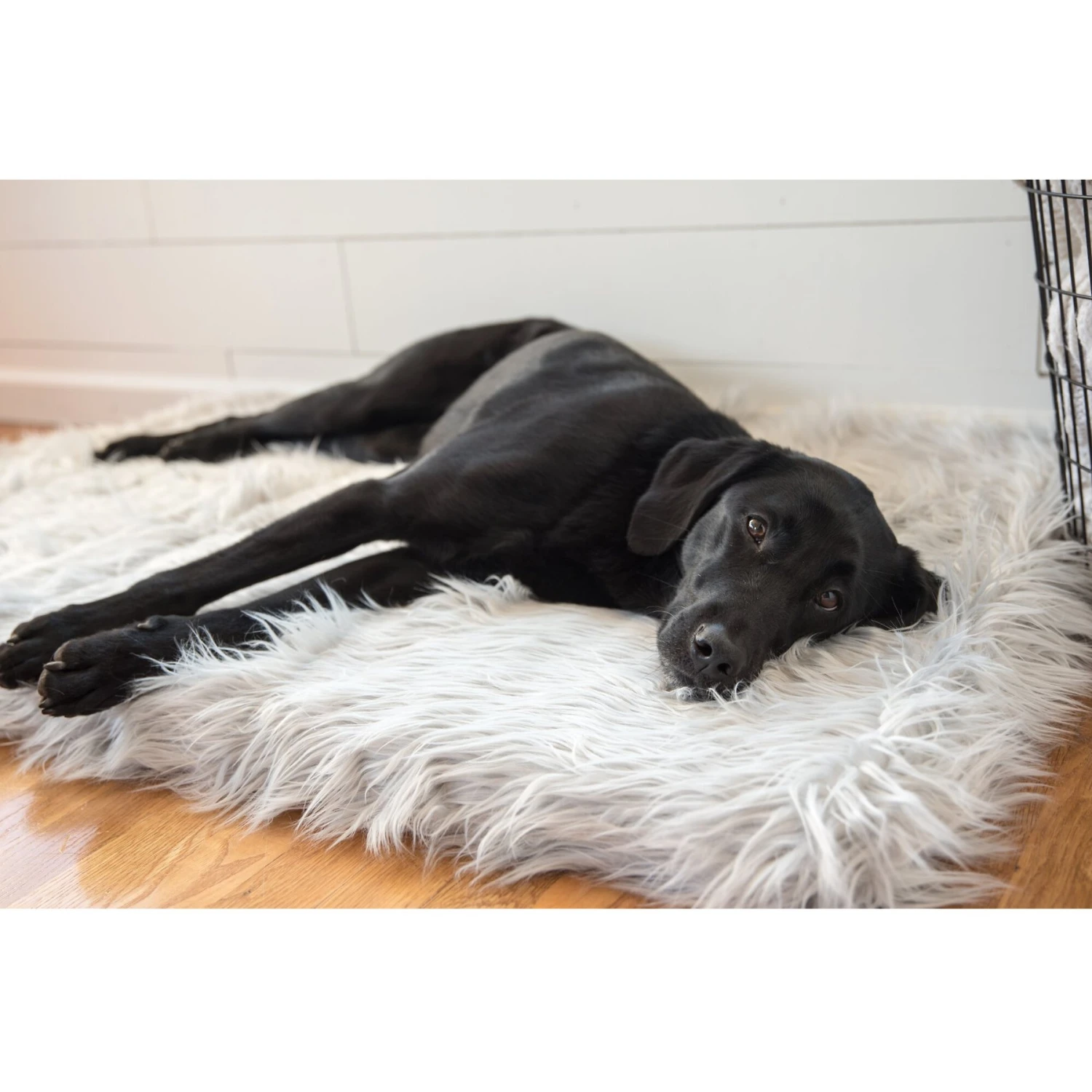PawBrands PupRug Faux Fur Rectangular Orthopedic Pillow Dog Bed With Removable Cover, Gray 6 PawBrands PupRug Faux Fur Rectangular Orthopedic Pillow Dog Bed With Removable Cover, Gray - Image 4
