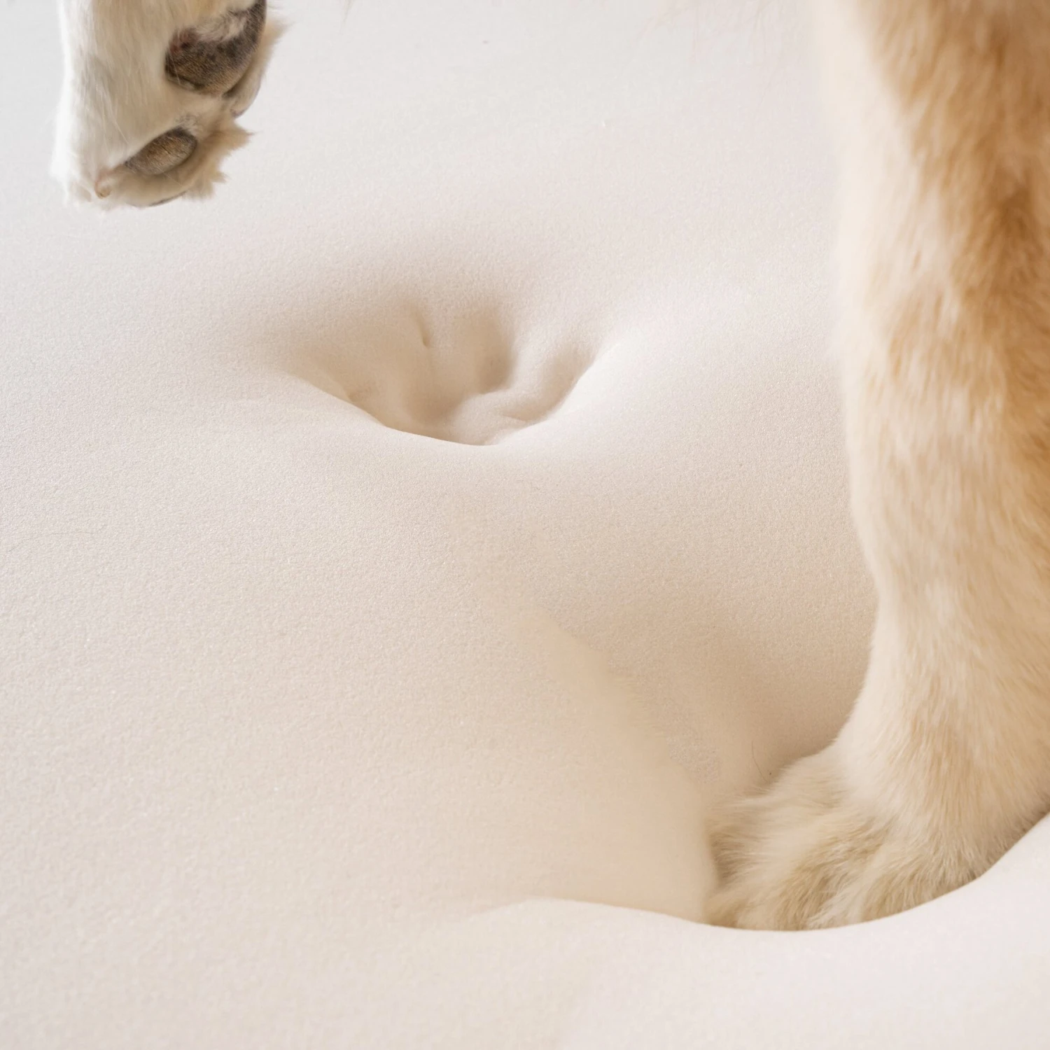 PawBrands PupRug Faux Fur Rectangular Orthopedic Pillow Dog Bed With Removable Cover, Gray 7 PawBrands PupRug Faux Fur Rectangular Orthopedic Pillow Dog Bed With Removable Cover, Gray - Image 5