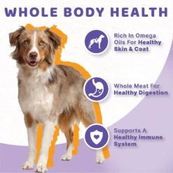Halo Holistic Chicken Stew Adult Canned Dog Food 15 Halo Holistic Chicken Stew Adult Canned Dog Food -Blue Buffalo || ROYAL CANIN || Wellness Sales 194483 PT4. AC SS1800 V1633478775