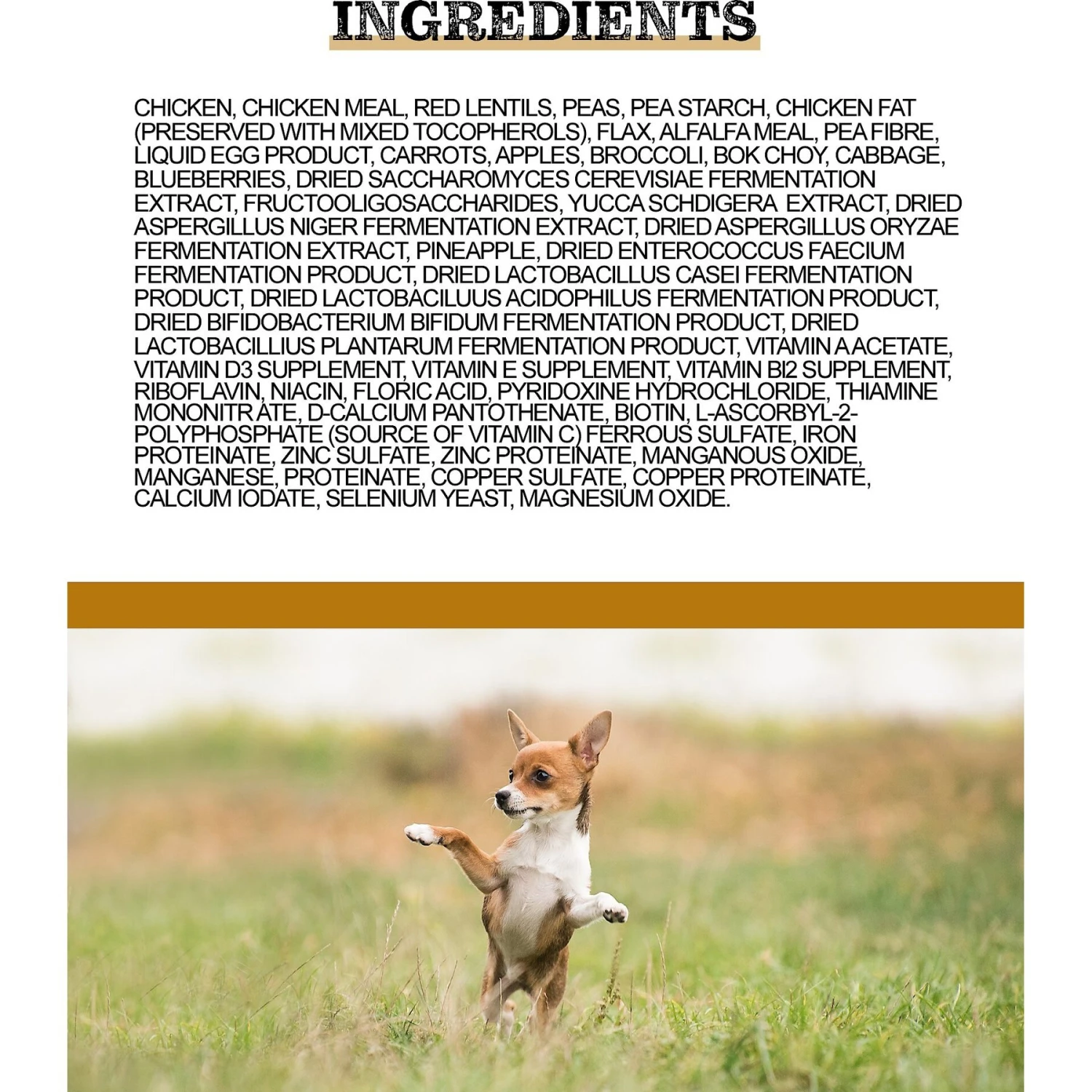 Horizon Amicus Small & Mini Breed Grain-Free Chicken Formula Dry Dog Food 4 Horizon Amicus Small & Mini Breed Grain-Free Chicken Formula Dry Dog Food - Image 2