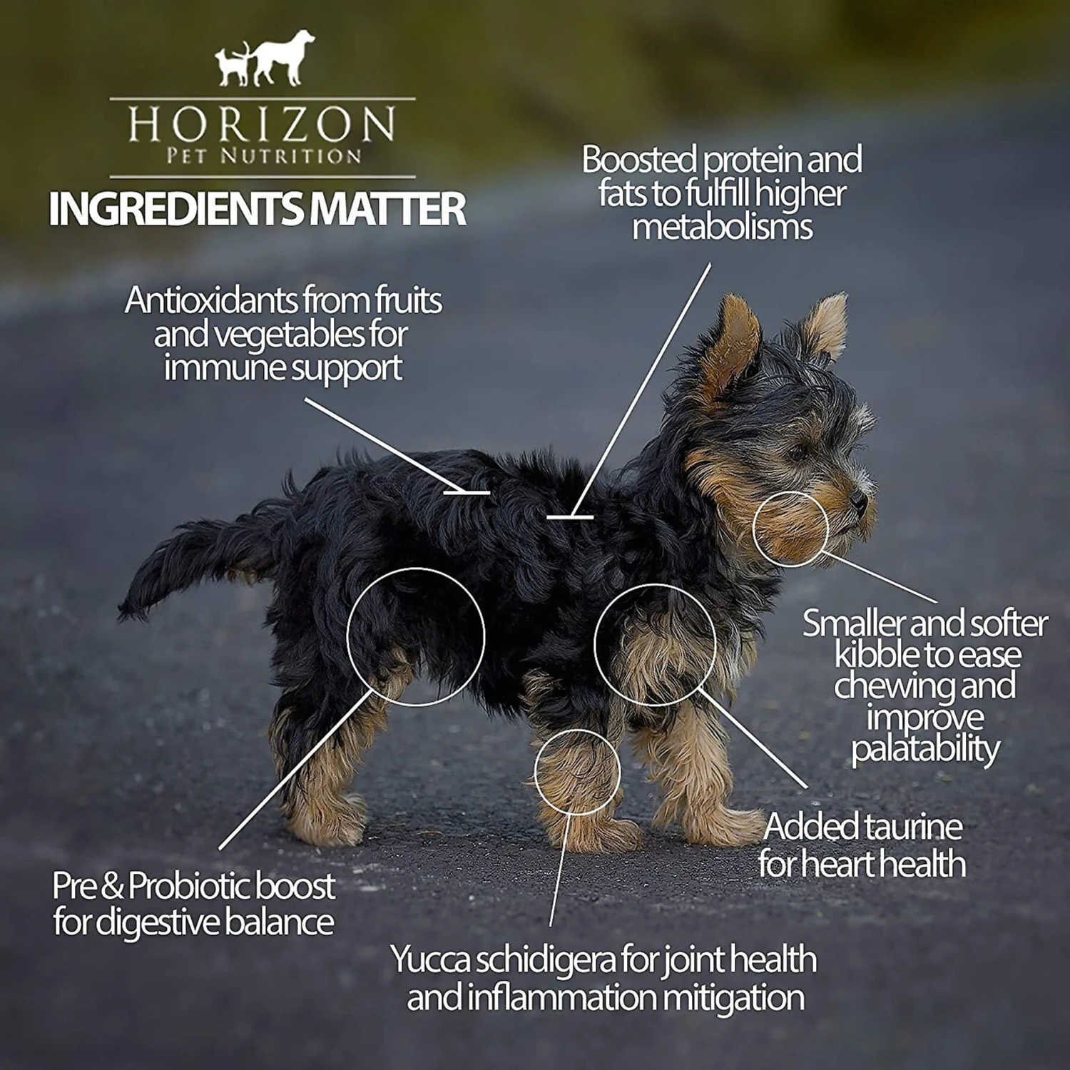 Horizon Amicus Small & Mini Breed Grain-Free Chicken Formula Dry Dog Food 6 Horizon Amicus Small & Mini Breed Grain-Free Chicken Formula Dry Dog Food - Image 4
