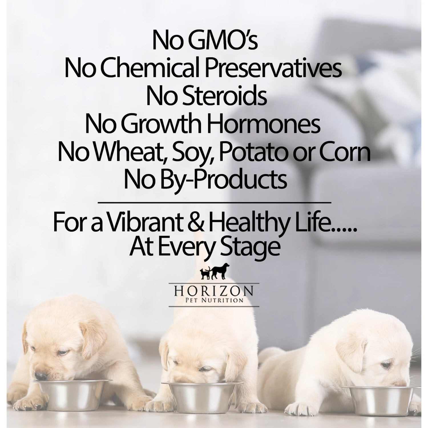 Horizon Amicus Small & Mini Breed Grain-Free Chicken Formula Dry Dog Food 7 Horizon Amicus Small & Mini Breed Grain-Free Chicken Formula Dry Dog Food - Image 5