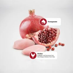 Farmina N&D Prime Chicken & Pomegranate Mini Puppy Dry Dog Food -Blue Buffalo || ROYAL CANIN || Wellness Sales 196207 PT4. AC SS1800 V1591128128