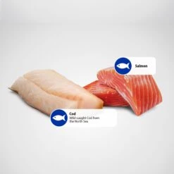 Farmina Natural & Delicious Ocean Salmon & Cod Canned Dog Food 15 Farmina Natural & Delicious Ocean Salmon & Cod Canned Dog Food -Blue Buffalo || ROYAL CANIN || Wellness Sales 197032 PT5. AC SS1800 V1679330225