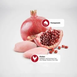 Farmina Natural & Delicious Puppy Prime Chicken & Pomegranate Canned Dog Food 11 Farmina Natural & Delicious Puppy Prime Chicken & Pomegranate Canned Dog Food -Blue Buffalo || ROYAL CANIN || Wellness Sales 197043 PT5. AC SS1800 V1591128672