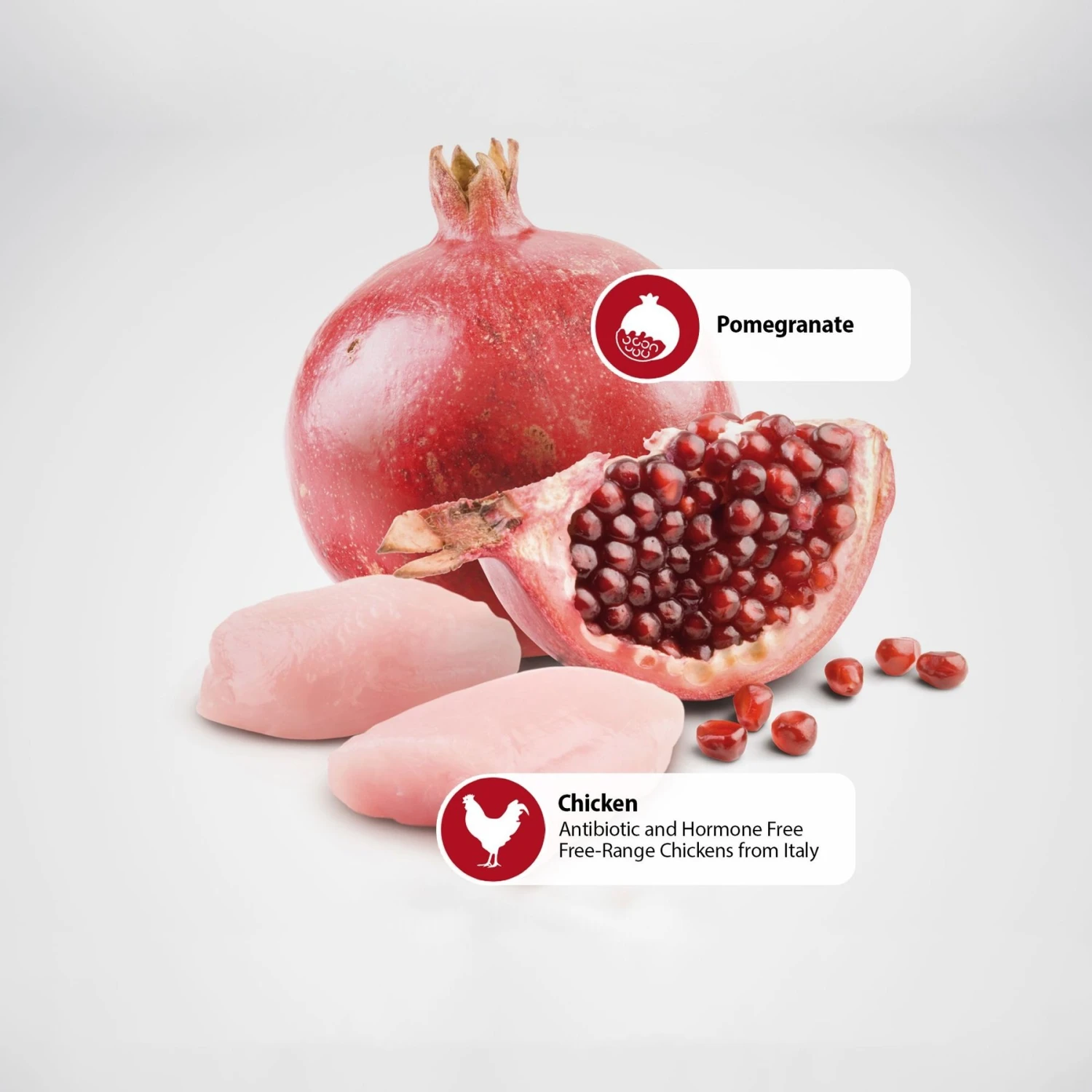 Farmina Natural & Delicious Puppy Prime Chicken & Pomegranate Canned Dog Food 7 Farmina Natural & Delicious Puppy Prime Chicken & Pomegranate Canned Dog Food - Image 5