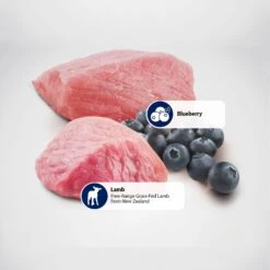 Farmina Natural & Delicious Prime Lamb & Blueberry Canned Dog Food -Blue Buffalo || ROYAL CANIN || Wellness Sales 197050 PT5. AC SS1800 V1591128682