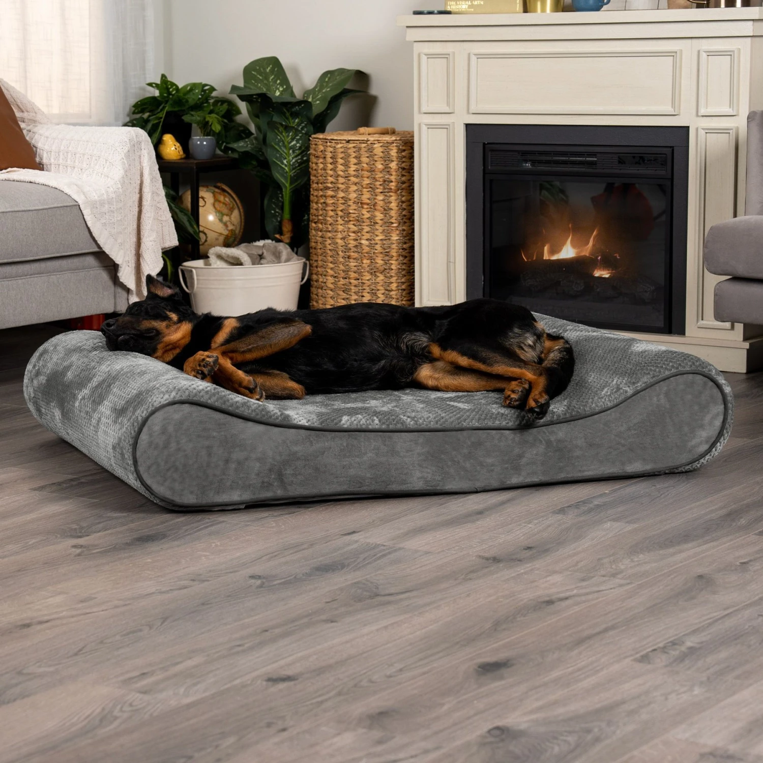 FurHaven Minky Plush Luxe Lounger Memory Foam Dog Bed With Removable Cover 3 FurHaven Minky Plush Luxe Lounger Memory Foam Dog Bed With Removable Cover
