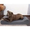 FurHaven Microvelvet Luxe Lounger Cooling Gel Dog Bed With Removable Cover 1 FurHaven Microvelvet Luxe Lounger Cooling Gel Dog Bed With Removable Cover -Blue Buffalo || ROYAL CANIN || Wellness Sales 198945 MAIN. AC SS1800 V1627614373