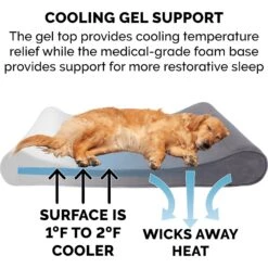 FurHaven Microvelvet Luxe Lounger Cooling Gel Dog Bed With Removable Cover -Blue Buffalo || ROYAL CANIN || Wellness Sales 198945 PT6. AC SS1800 V1627615883