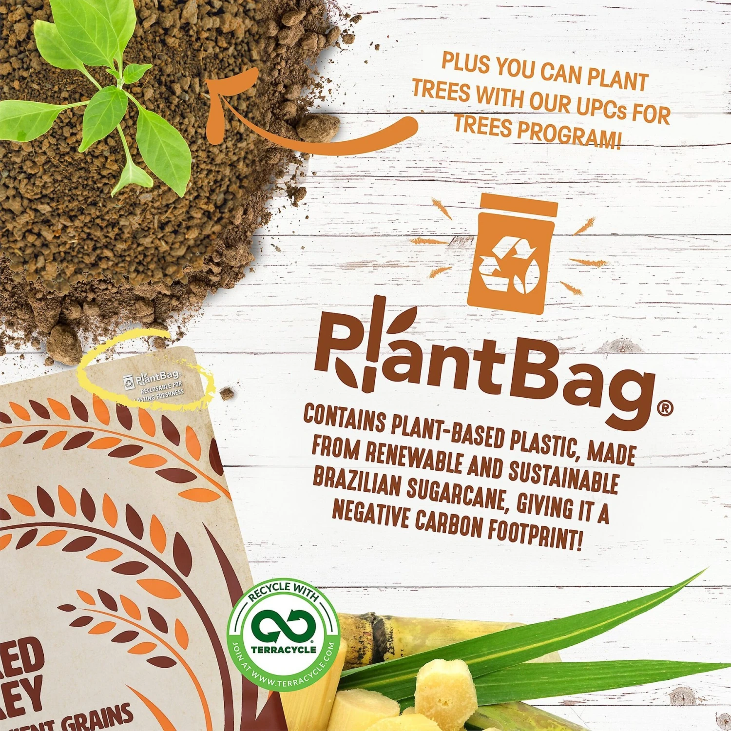 Earthborn Holistic Unrefined Smoked Turkey With Ancient Grains & Superfoods Dry Dog Food 9 Earthborn Holistic Unrefined Smoked Turkey With Ancient Grains & Superfoods Dry Dog Food - Image 7