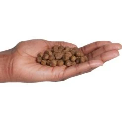 Country Vet Naturals 24/14 Healthy Diet Dry Dog Food 9 Country Vet Naturals 24/14 Healthy Diet Dry Dog Food -Blue Buffalo || ROYAL CANIN || Wellness Sales 199175 PT2. AC SS1800 V1569429663