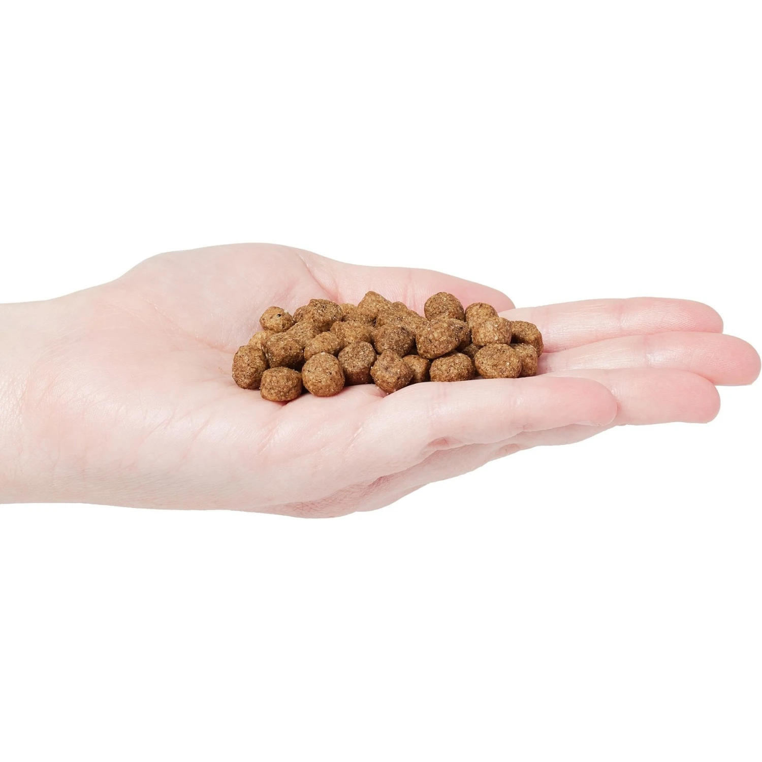 Country Vet Naturals 24-10 Senior Dog Food 5 Country Vet Naturals 24-10 Senior Dog Food - Image 3