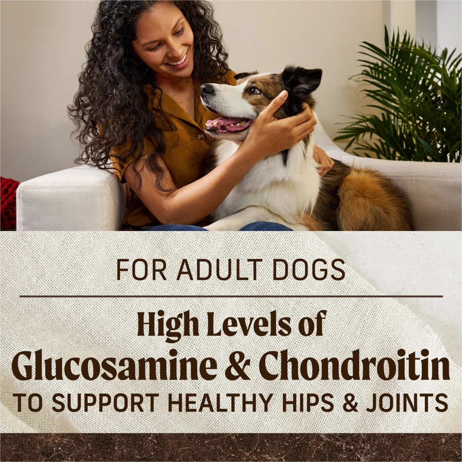 Merrick Real Texas Beef + Sweet Potato Recipe Grain-Free Chicken-Free Adult Dry Dog Food 11 Merrick Real Texas Beef + Sweet Potato Recipe Grain-Free Chicken-Free Adult Dry Dog Food - Image 9