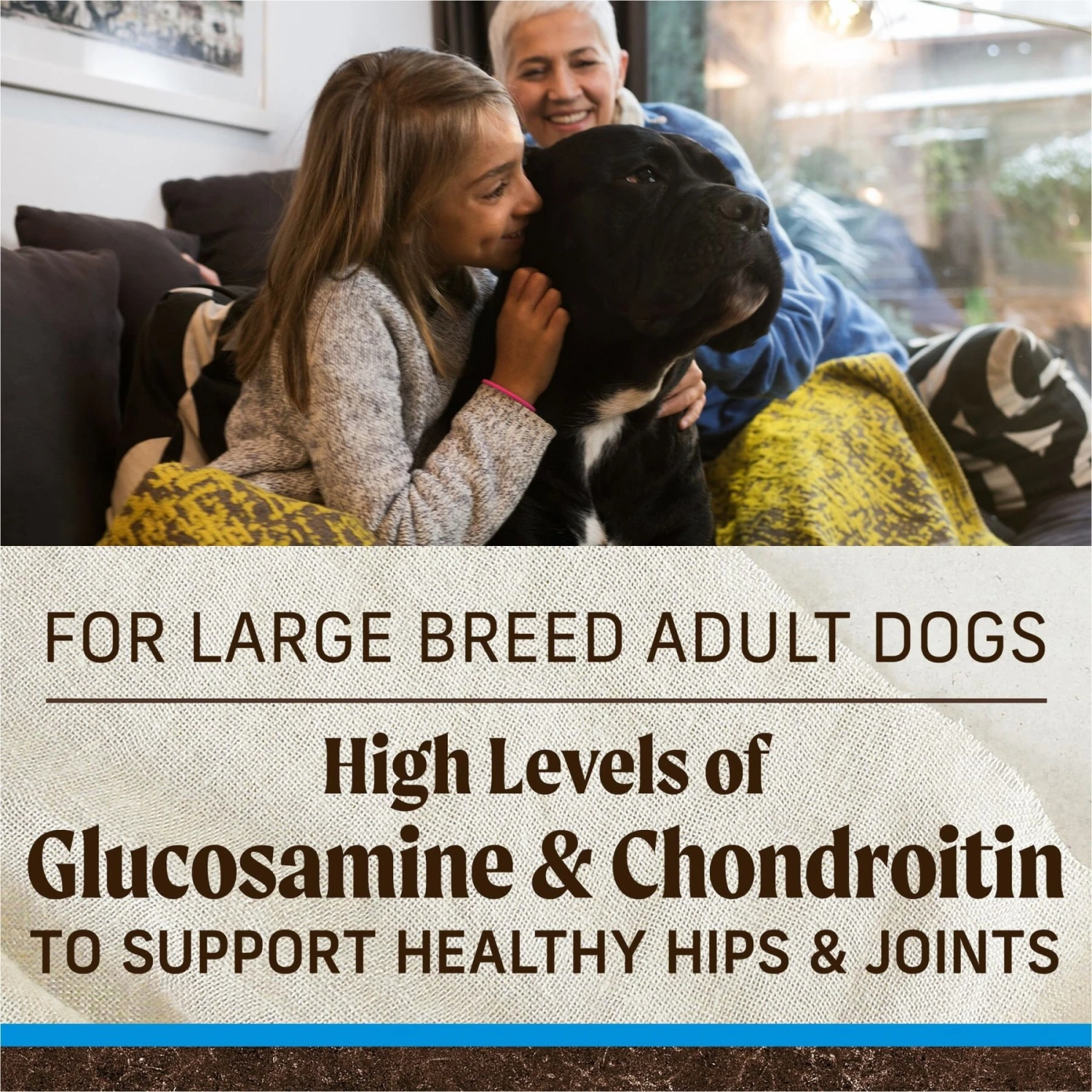 Merrick Grain-Free Large Breed Dry Dog Food Real Chicken & Sweet Potato Recipe 11 Merrick Grain-Free Large Breed Dry Dog Food Real Chicken & Sweet Potato Recipe - Image 9