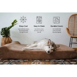 Big Barker 7" Headrest Orthopedic Pillow Dog Bed With Removable Cover 14 Big Barker 7" Headrest Orthopedic Pillow Dog Bed With Removable Cover -Blue Buffalo || ROYAL CANIN || Wellness Sales 201659 PT4. AC SS1800 V1599090094