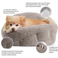Best Friends By Sheri Sherpa Deep Dish Bolster Cat & Dog Bed W/Blanket & Plush Bone -Blue Buffalo || ROYAL CANIN || Wellness Sales 201952 PT1. AC SS1800 V1601338556