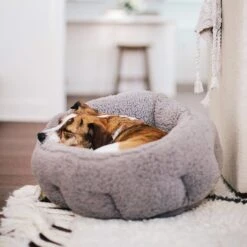 Best Friends By Sheri Sherpa Deep Dish Bolster Cat & Dog Bed W/Blanket & Plush Bone -Blue Buffalo || ROYAL CANIN || Wellness Sales 201952 pt5. AC SS1800 V1569264198