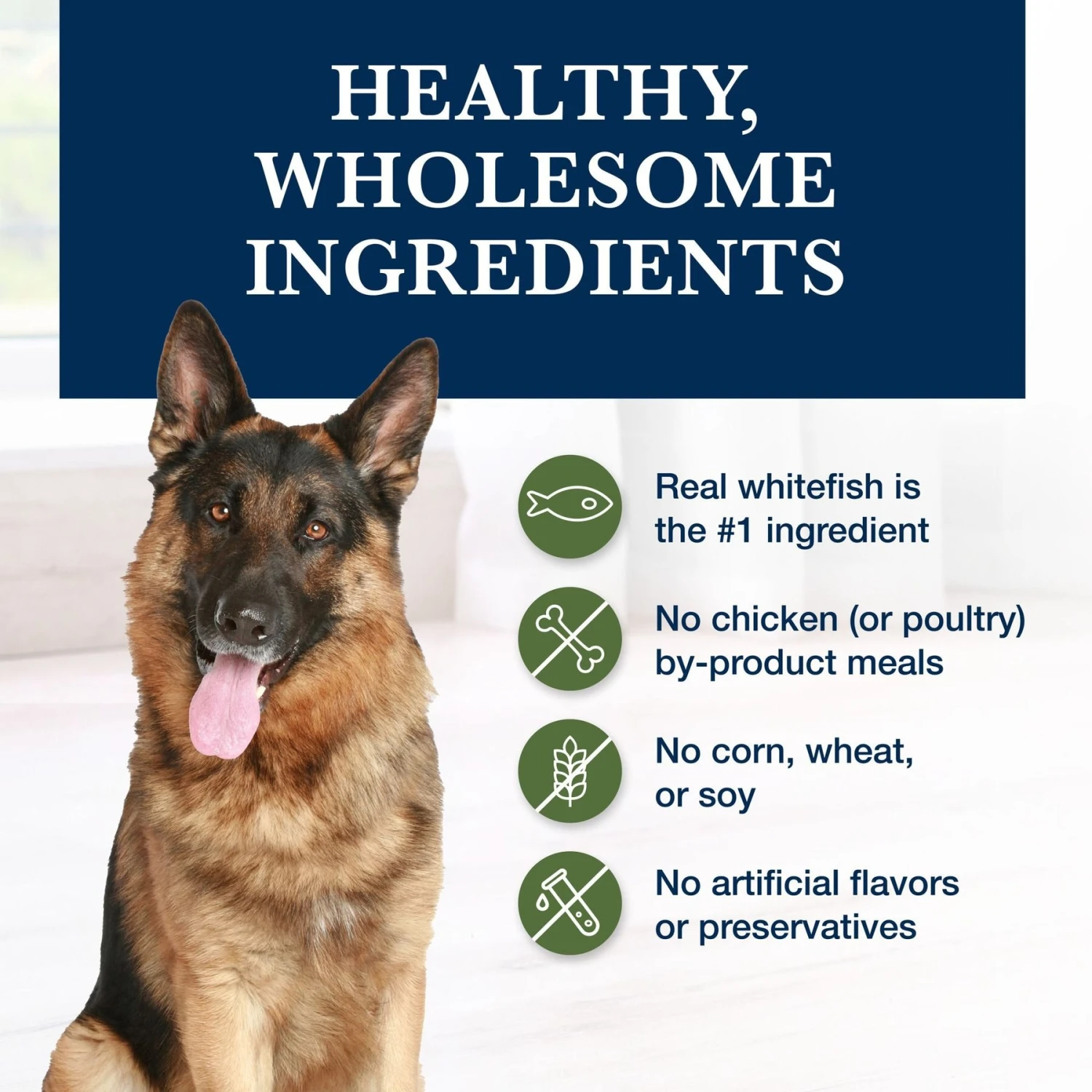 Blue Buffalo Natural Veterinary Diet GI Gastrointestinal Support Low Fat Grain-Free Wet Dog Food 8 Blue Buffalo Natural Veterinary Diet GI Gastrointestinal Support Low Fat Grain-Free Wet Dog Food - Image 6