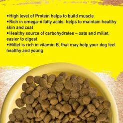 Inception Chicken Recipe Dry Dog Food -Blue Buffalo || ROYAL CANIN || Wellness Sales 205313 PT3. AC SS1800 V1582043320