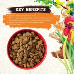 Inception Chicken & Pork Meal Recipe Dry Dog Food -Blue Buffalo || ROYAL CANIN || Wellness Sales 205317 PT2. AC SS1800 V1642548737