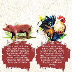 Inception Chicken & Pork Meal Recipe Dry Dog Food -Blue Buffalo || ROYAL CANIN || Wellness Sales 205317 PT3. AC SS1800 V1642581991