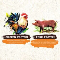 Inception Chicken & Pork Meal Recipe Dry Dog Food -Blue Buffalo || ROYAL CANIN || Wellness Sales 205317 PT4. AC SS1800 V1642561408