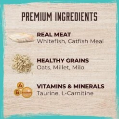 Inception Fish Recipe Dry Dog Food 13 Inception Fish Recipe Dry Dog Food -Blue Buffalo || ROYAL CANIN || Wellness Sales 205321 PT2. AC SS1800 V1642547785