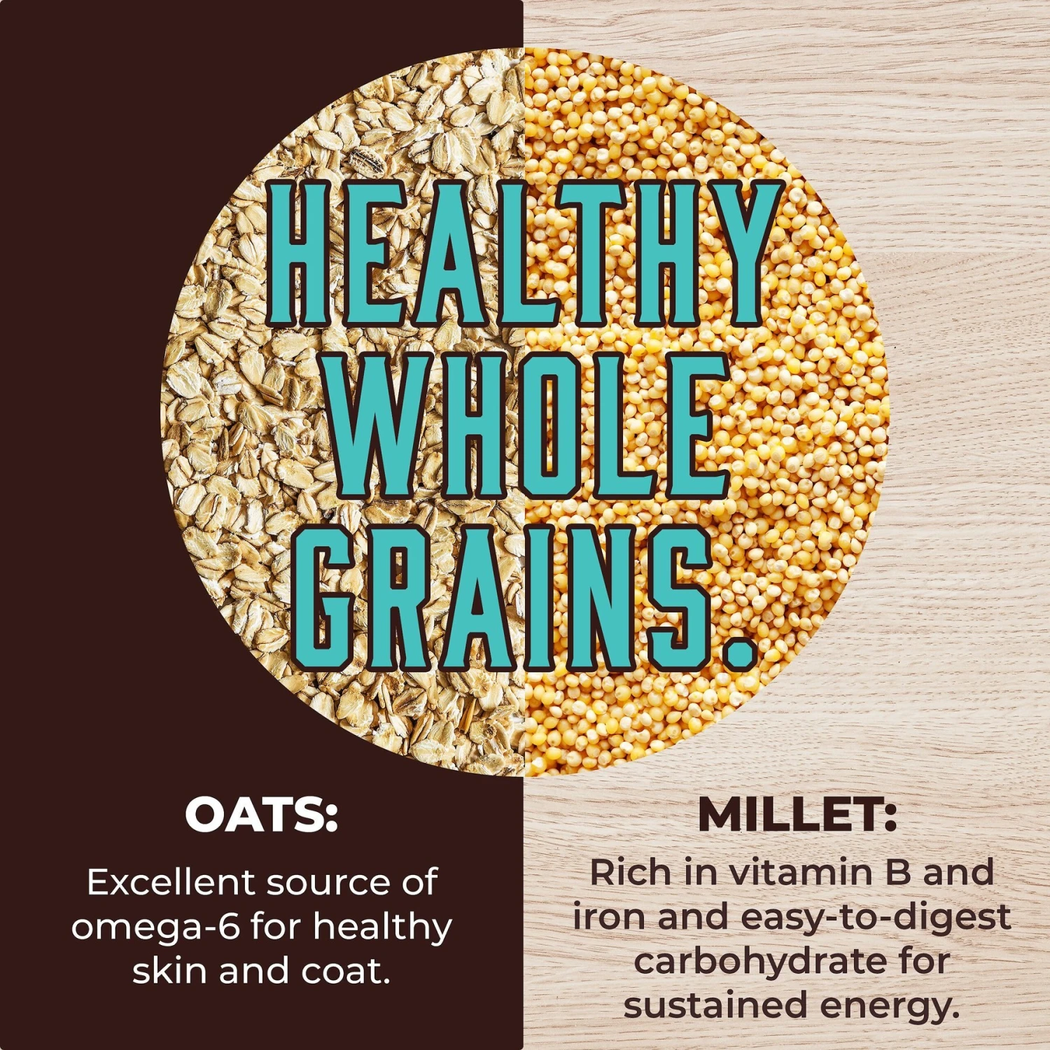 Inception Fish Recipe Dry Dog Food 7 Inception Fish Recipe Dry Dog Food - Image 5