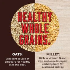 Inception Pork Recipe Dry Dog Food -Blue Buffalo || ROYAL CANIN || Wellness Sales 205325 PT4. AC SS1800 V1642572779