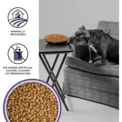 BIXBI Liberty Fresh Grain-Free Lamb Recipe Dry Dog Food -Blue Buffalo || ROYAL CANIN || Wellness Sales 205852 PT2. AC SS1800 V1669065234