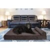 FurHaven Chaise Lounge Memory Top Cat & Dog Bed With Removable Cover 2 FurHaven Chaise Lounge Memory Top Cat & Dog Bed With Removable Cover -Blue Buffalo || ROYAL CANIN || Wellness Sales 206599 MAIN. AC SS1800 V1585666319