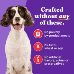 Halo Holistic Beef Recipe In Broth Adult Wet Dog Food -Blue Buffalo || ROYAL CANIN || Wellness Sales 209769 PT4. AC SS1800 V1698766660