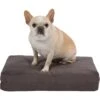 Pet Support Systems Gel Memory Foam Pillow Dog Bed -Blue Buffalo || ROYAL CANIN || Wellness Sales 210153 MAIN. AC SS1800 V1577387880