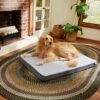 Frisco Cooling Orthopedic Pillow Dog Bed W/Removable Cover -Blue Buffalo || ROYAL CANIN || Wellness Sales 210223 MAIN. AC SS1800 V1590067616
