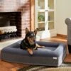 Frisco Orthopedic Rectangular Bolster Cat & Dog Bed W/Removable Cover -Blue Buffalo || ROYAL CANIN || Wellness Sales 210226 MAIN. AC SS1800 V1590067652