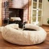 Frisco Eyelash Cat & Dog Bolster Bed 2 Frisco Eyelash Cat & Dog Bolster Bed -Blue Buffalo || ROYAL CANIN || Wellness Sales 210771 MAIN. AC SS1800 V1589289120