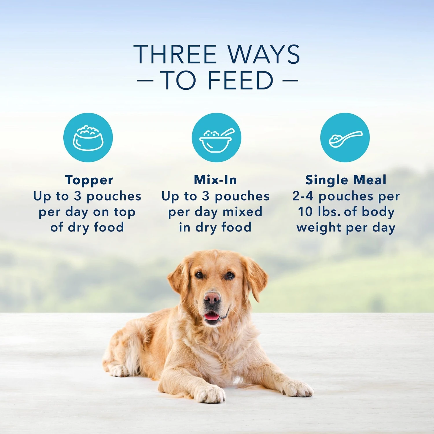 Blue Buffalo Delectables Chicken & Beef Dinner Variety Pack Grain-Free Wet Dog Food Topper, 3-oz Pouches, Case Of 12 7 Blue Buffalo Delectables Chicken & Beef Dinner Variety Pack Grain-Free Wet Dog Food Topper, 3-oz Pouches, Case Of 12 - Image 5