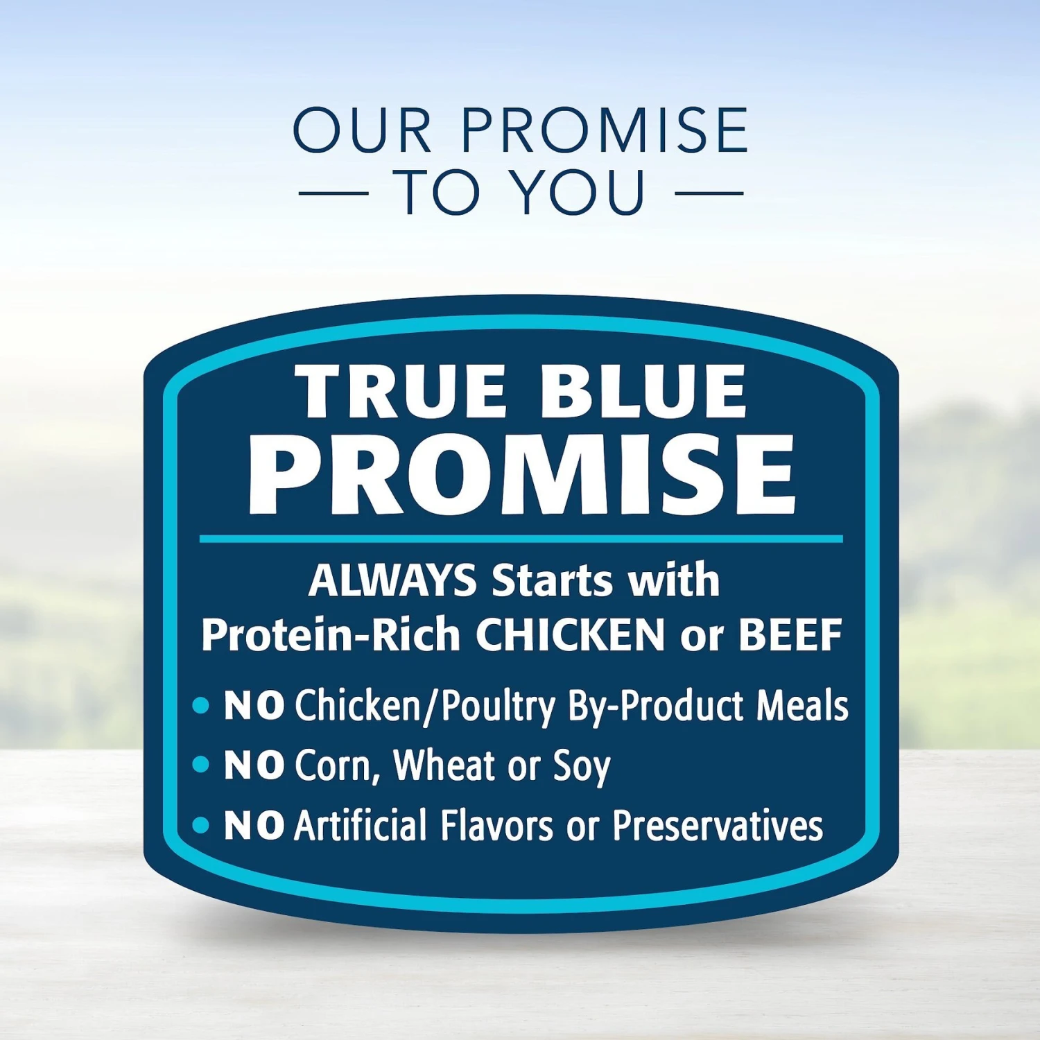 Blue Buffalo Delectables Chicken & Beef Dinner Variety Pack Grain-Free Wet Dog Food Topper, 3-oz Pouches, Case Of 12 8 Blue Buffalo Delectables Chicken & Beef Dinner Variety Pack Grain-Free Wet Dog Food Topper, 3-oz Pouches, Case Of 12 - Image 6