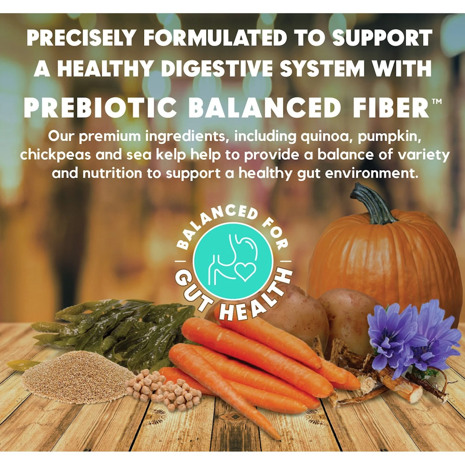 Lucy Pet Products Limited Ingredient Diet Chicken, Brown Rice & Pumpkin Formula Dry Dog Food 6 Lucy Pet Products Limited Ingredient Diet Chicken, Brown Rice & Pumpkin Formula Dry Dog Food - Image 4