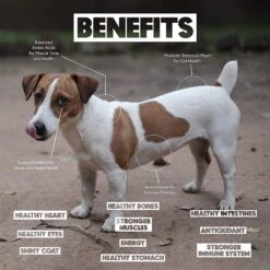 Lucy Pet Products Limited Ingredient Diet Chicken, Brown Rice & Pumpkin Formula Dry Dog Food 15 Lucy Pet Products Limited Ingredient Diet Chicken, Brown Rice & Pumpkin Formula Dry Dog Food -Blue Buffalo || ROYAL CANIN || Wellness Sales 212701 PT4. AC SS1800 V1575927233