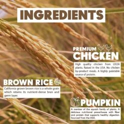 Lucy Pet Products Limited Ingredient Diet Chicken, Brown Rice & Pumpkin Formula Dry Dog Food 17 Lucy Pet Products Limited Ingredient Diet Chicken, Brown Rice & Pumpkin Formula Dry Dog Food -Blue Buffalo || ROYAL CANIN || Wellness Sales 212701 PT6. AC SS1800 V1575927235
